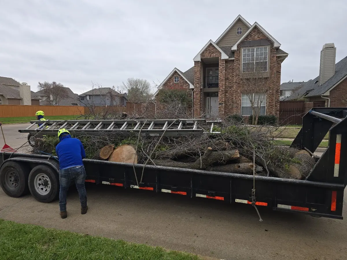 Expert Lot Clearing with proper safety equipment in Fountain